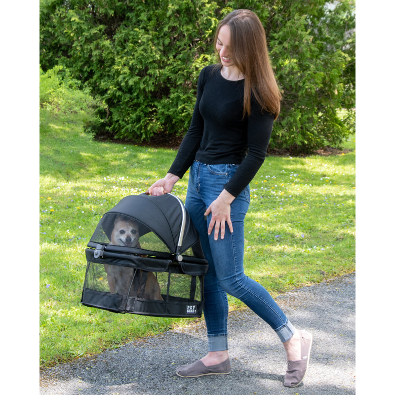 Pet Gear View 360 Pet Carrier & Reviews Wayfair